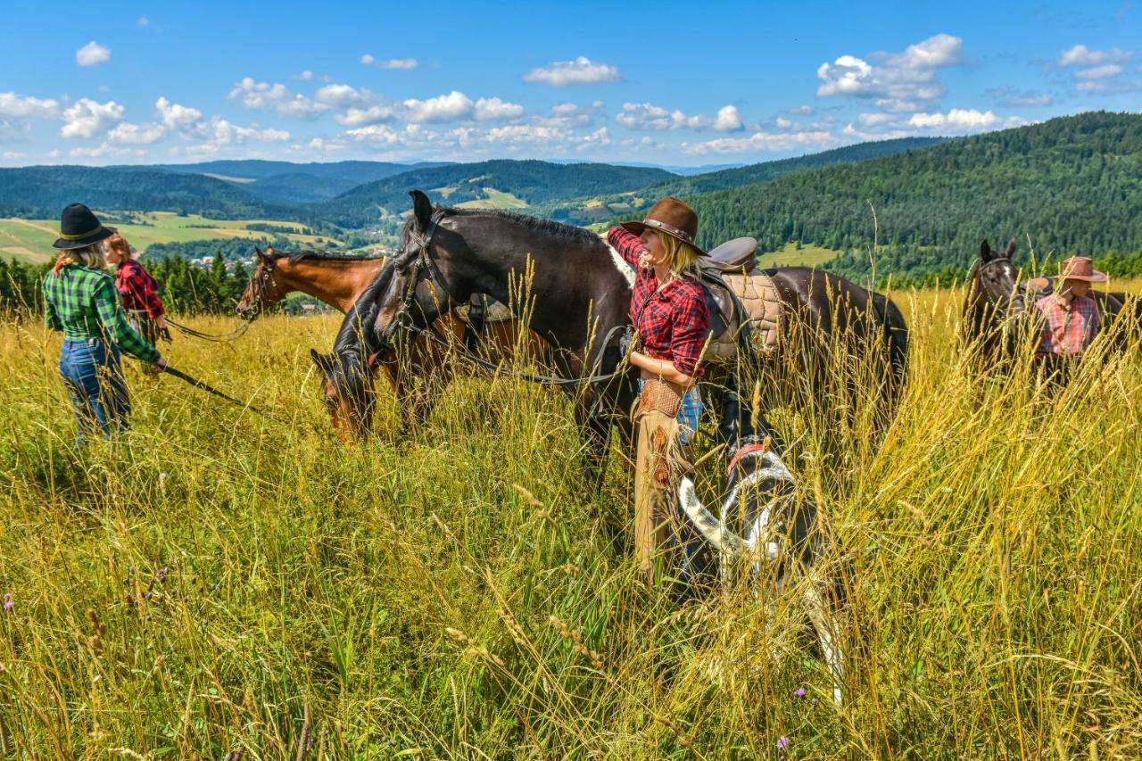 Farma Lama Dom Goscinny Tylicz Exteriör bild